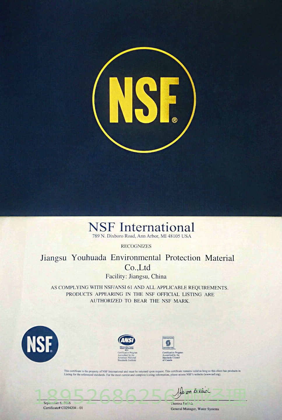 NSF֤